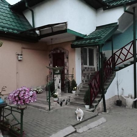 Casa Vinco Vici 호텔 투르다 외부 사진