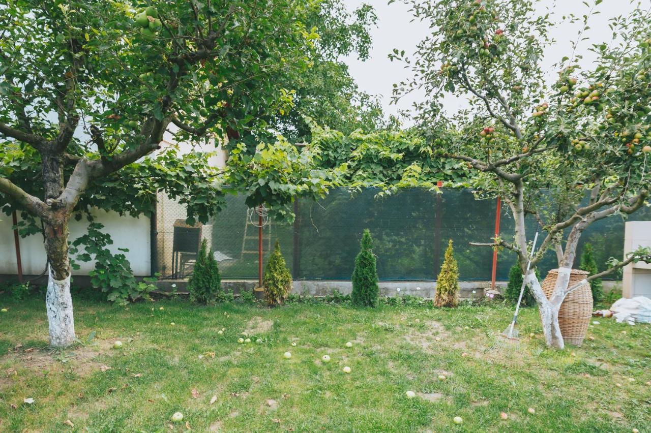 Casa Vinco Vici 호텔 투르다 외부 사진